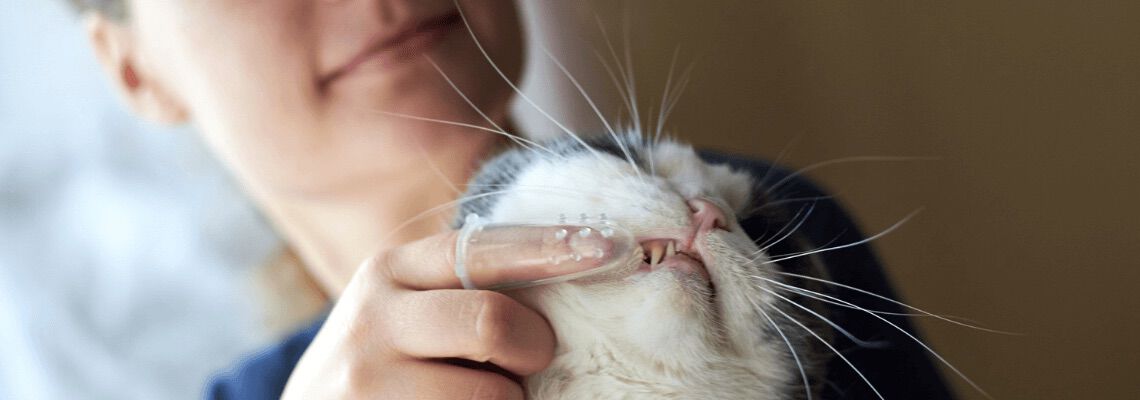 [paste advice page name here]